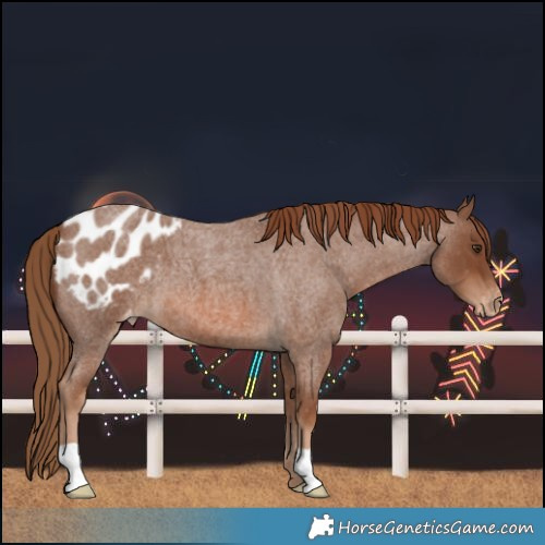 Horse Color:Red Roan Blanket 