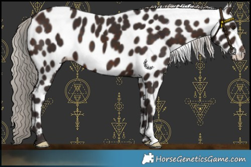 Horse Color:Silver Brown Leopard 