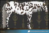Horse Color:Silver Brown Leopard 
