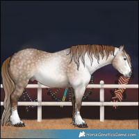 Horse Color:Gray Liver Red Dun Sabino 