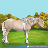 Horse Color:Chocolate Palomino Pearl Tobiano Frame  and Chocolate Palomino Pearl Tobiano 