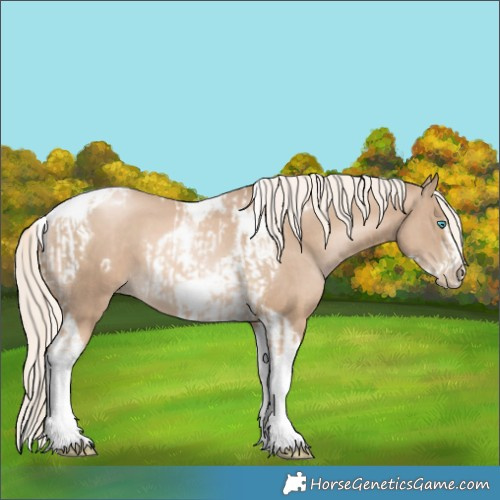 Horse Color:Chocolate Palomino Pearl Tobiano Frame and Chocolate Palomino Pearl Tobiano Frame