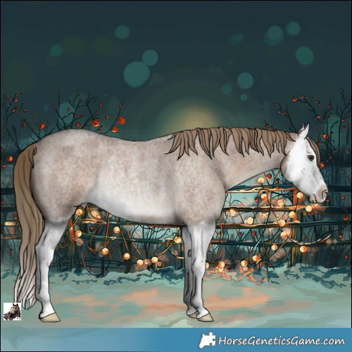 Horse Color:Liver Red Dun Roan Splash Rabicano 