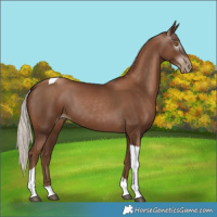 Horse Color:Gray Silver Black Pearl Tobiano