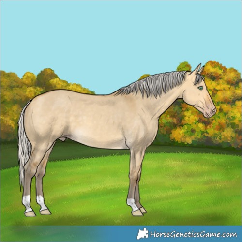 Horse Color:Silver Amber Cream Champagne Dun 