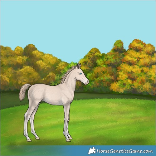 Horse Color:Perlino Tobiano 