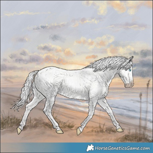 Horse Color:Silver Perlino Dun 