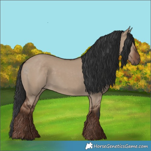 Horse Color:Liver Red Dun Rabicano 