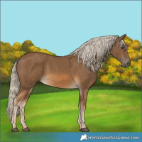 Horse Color:Chocolate Palomino 