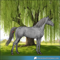 Horse Color:Black Varnish Rabicano 