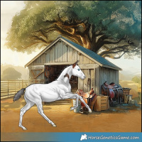 Horse Color:Bay Splash Tobiano Blanket 