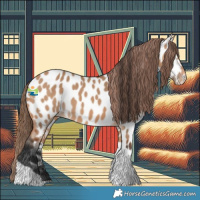 Horse Color:Bay Dun Tobiano Near Leopard