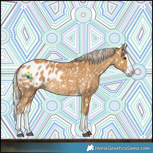 Horse Color:Palomino Splash Blanket 