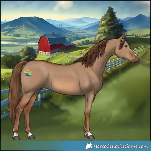 Horse Color:Red Dun 