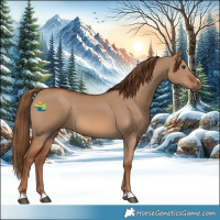Horse Color:Red Dun