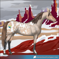 Horse Color:Bay Roan Dun Appaloosa