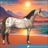 Horse Color:Bay Roan Dun Blanket 