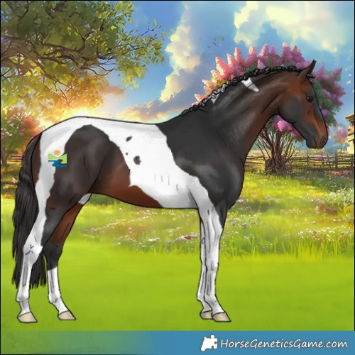 Horse Color:Bay Tobiano