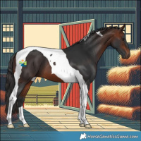 Horse Color:Bay Tobiano 