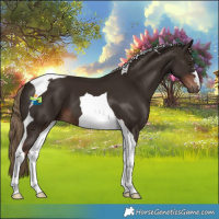 Horse Color:Liver Chestnut Tobiano