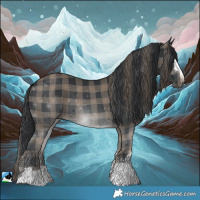 Horse Color:Plaid  Black 