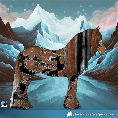 Horse Color:Chestnut Sabino Splash Tobiano Frame