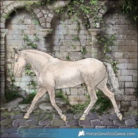 Horse Color:Gold Cream Champagne Pearl 