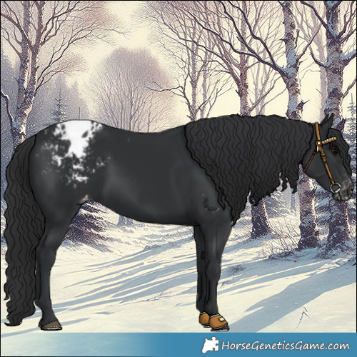 Horse Color:Black Varnish Rabicano 