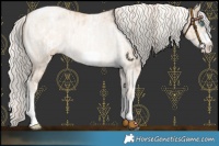 Horse Color:Chocolate Palomino Pearl Dun Tobiano Frame  and Gold Cream Champagne Pearl Dun Tobiano Frame 