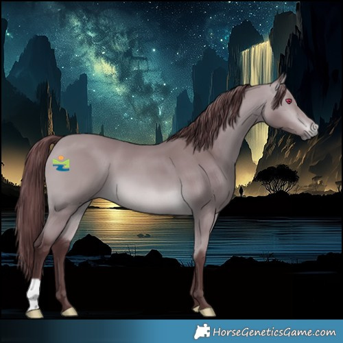 Horse Color:Platinum Chocolate Bay Chinchilla 