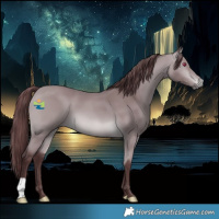 Horse Color:Platinum Chocolate Bay Chinchilla 