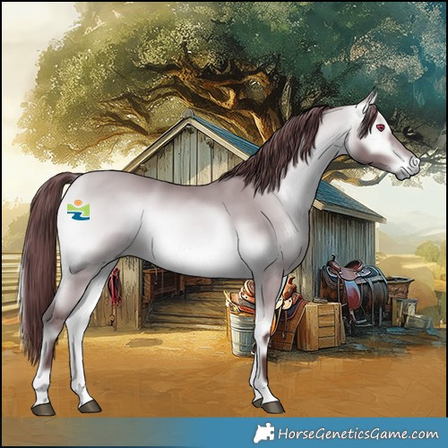 Horse Color:Chocolate Buckskin Chinchilla Onyx 