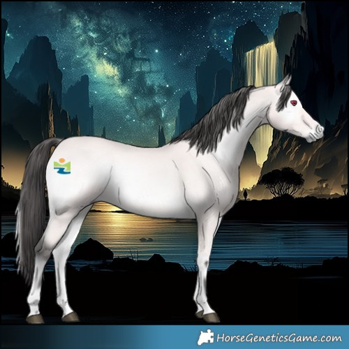 Horse Color:Platinum Buckskin Onyx Rabicano 