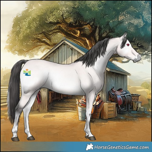 Horse Color:Platinum Buckskin Onyx Rabicano 