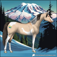 Horse Color:Bay Dun Tobiano 
