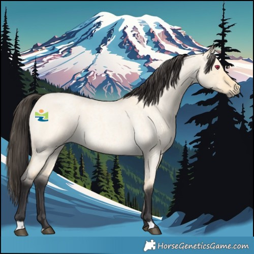 Horse Color:Buckskin Roan Dun 