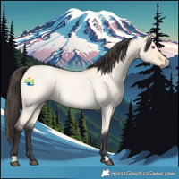 Horse Color:Buckskin Roan Dun