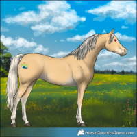 Horse Color:Palomino