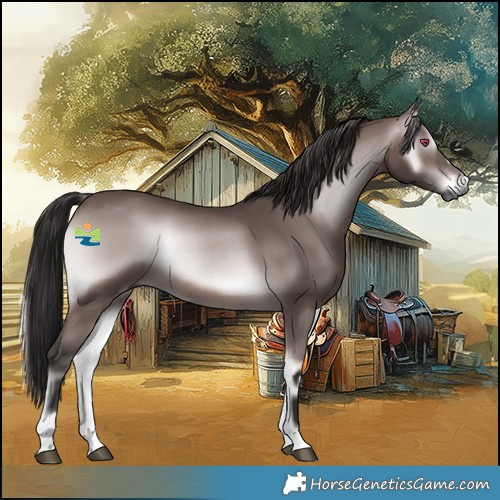 Horse Color:Gray Platinum Bay Onyx 