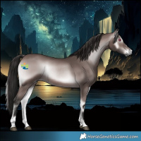 Horse Color:Gray Platinum Bay Onyx 