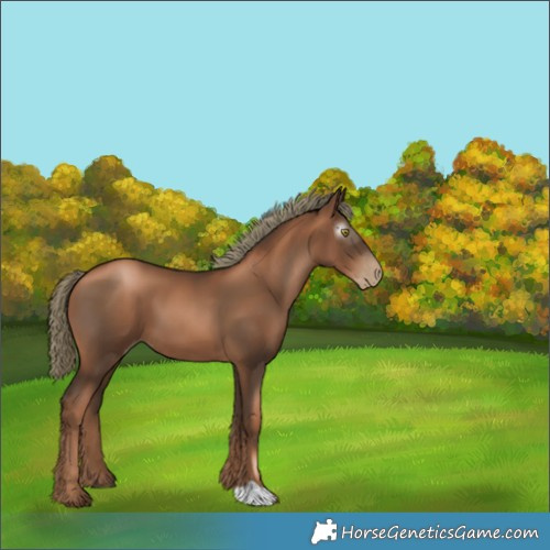 Horse Color:Gray Liver Chestnut Pearl Mushroom 