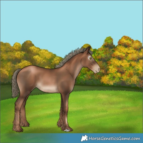 Horse Color:Gray Liver Chestnut Pearl Mushroom 