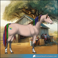 Horse Color:Platinum Painted Bay 