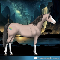 Horse Color:Platinum Bay Splash Rabicano 