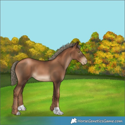 Horse Color:Gray Liver Chestnut Pearl Mushroom