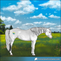 Horse Color:Silver Bay Chinchilla Dun Sabino