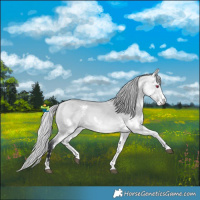 Horse Color:Silver Bay Chinchilla Dun Sabino 
