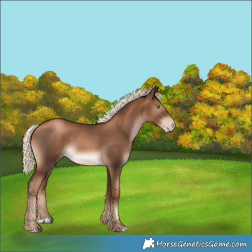 Horse Color:Gray Liver Chestnut Pearl Mushroom