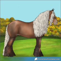 Horse Color:Gray Liver Chestnut Pearl Mushroom