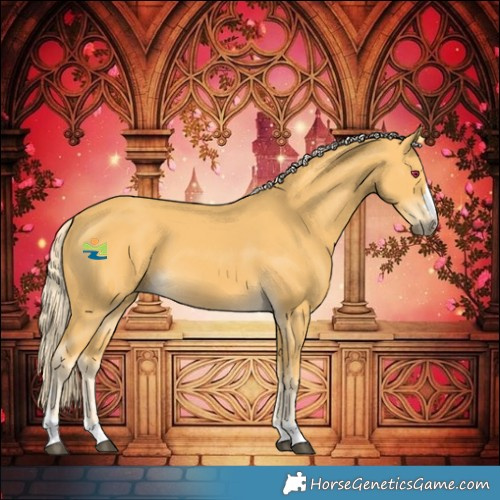 Horse Color:Palomino 